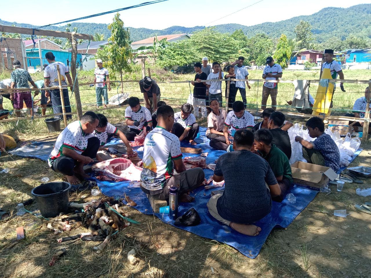pelaksanaan-ibadah-qurban-10