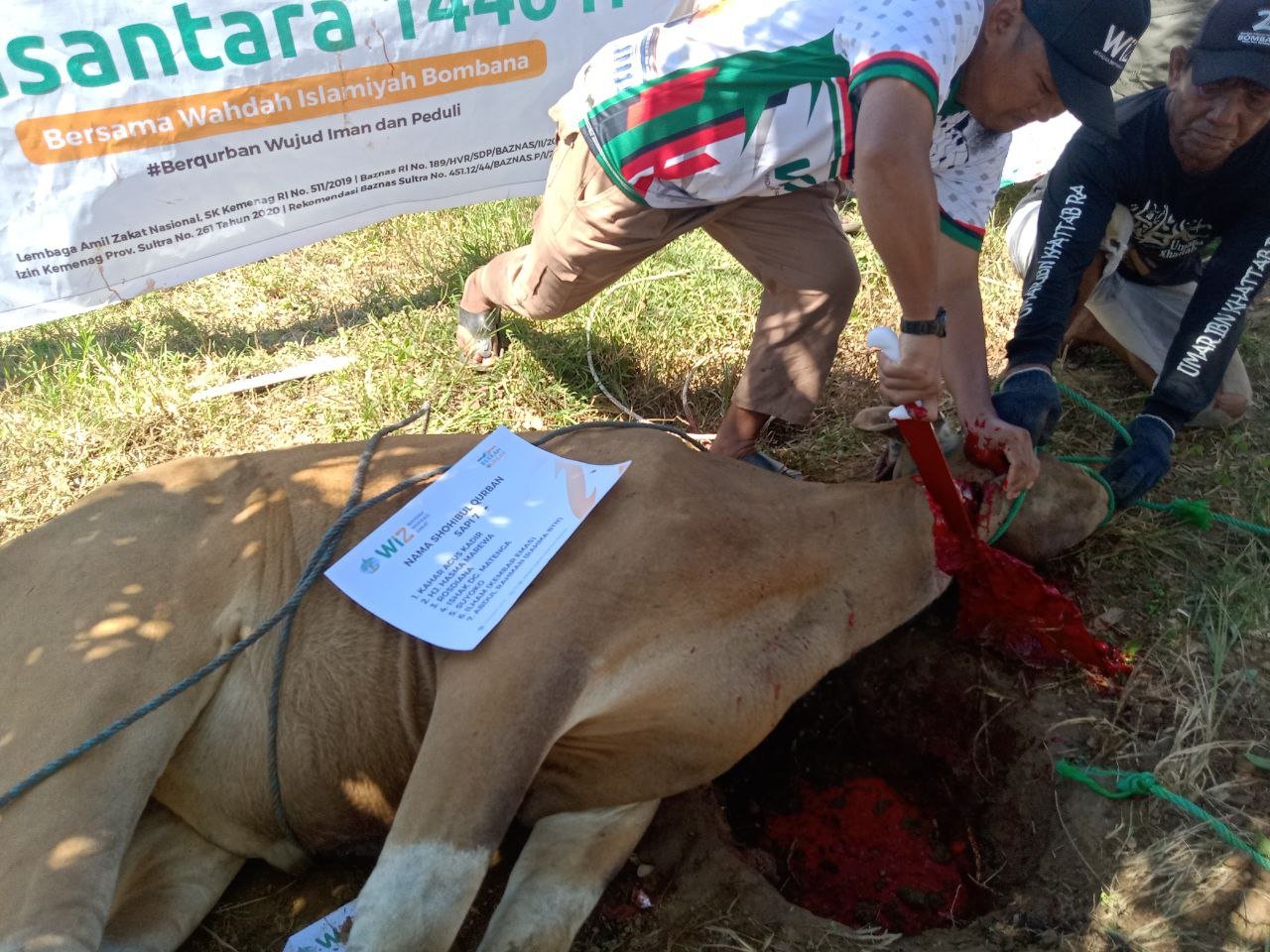 pelaksanaan-ibadah-qurban-11