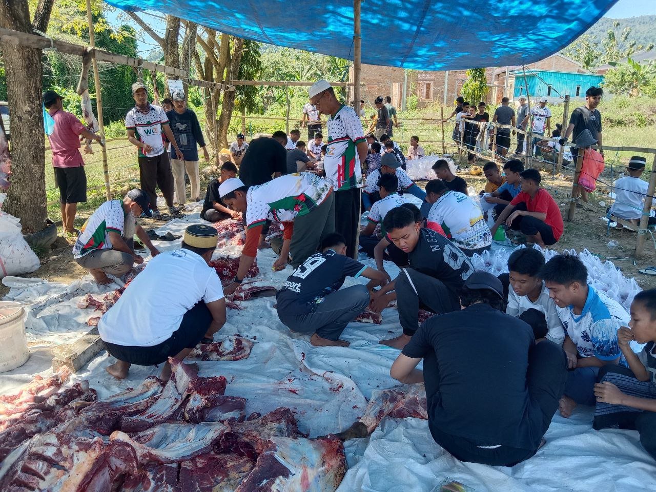 pelaksanaan-ibadah-qurban-16