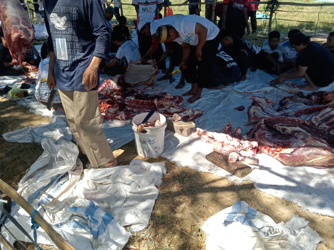 pelaksanaan-ibadah-qurban-17