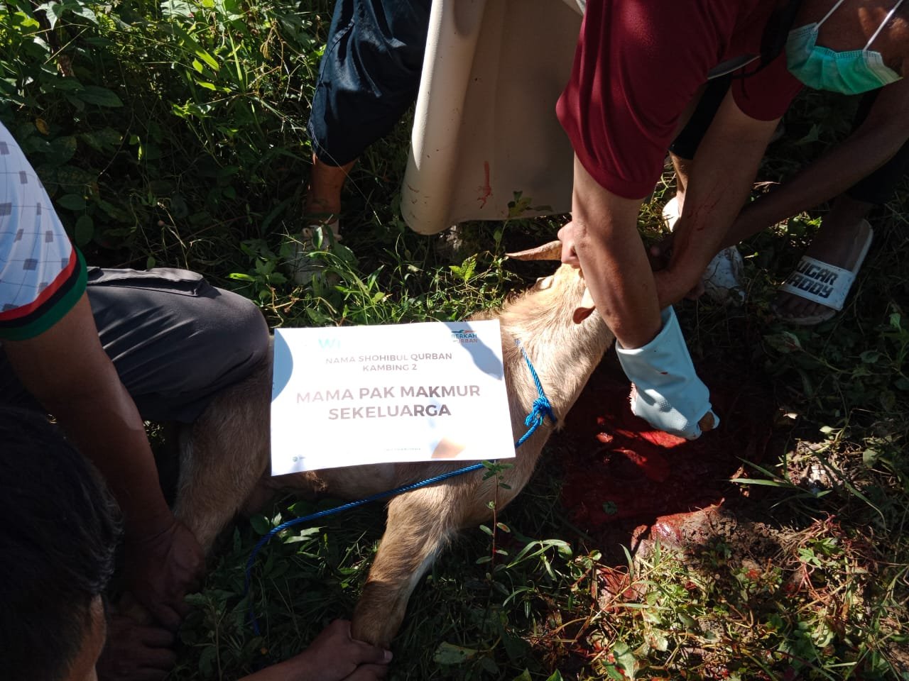 pelaksanaan-ibadah-qurban-19