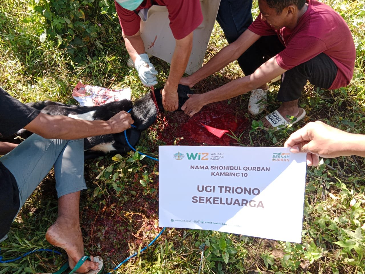 pelaksanaan-ibadah-qurban-20