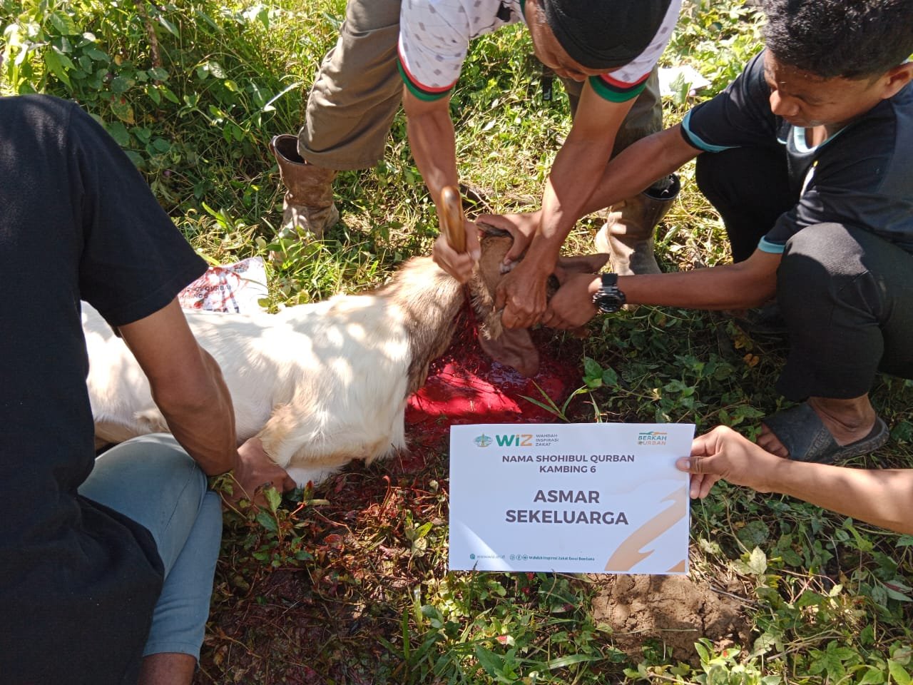 pelaksanaan-ibadah-qurban-21