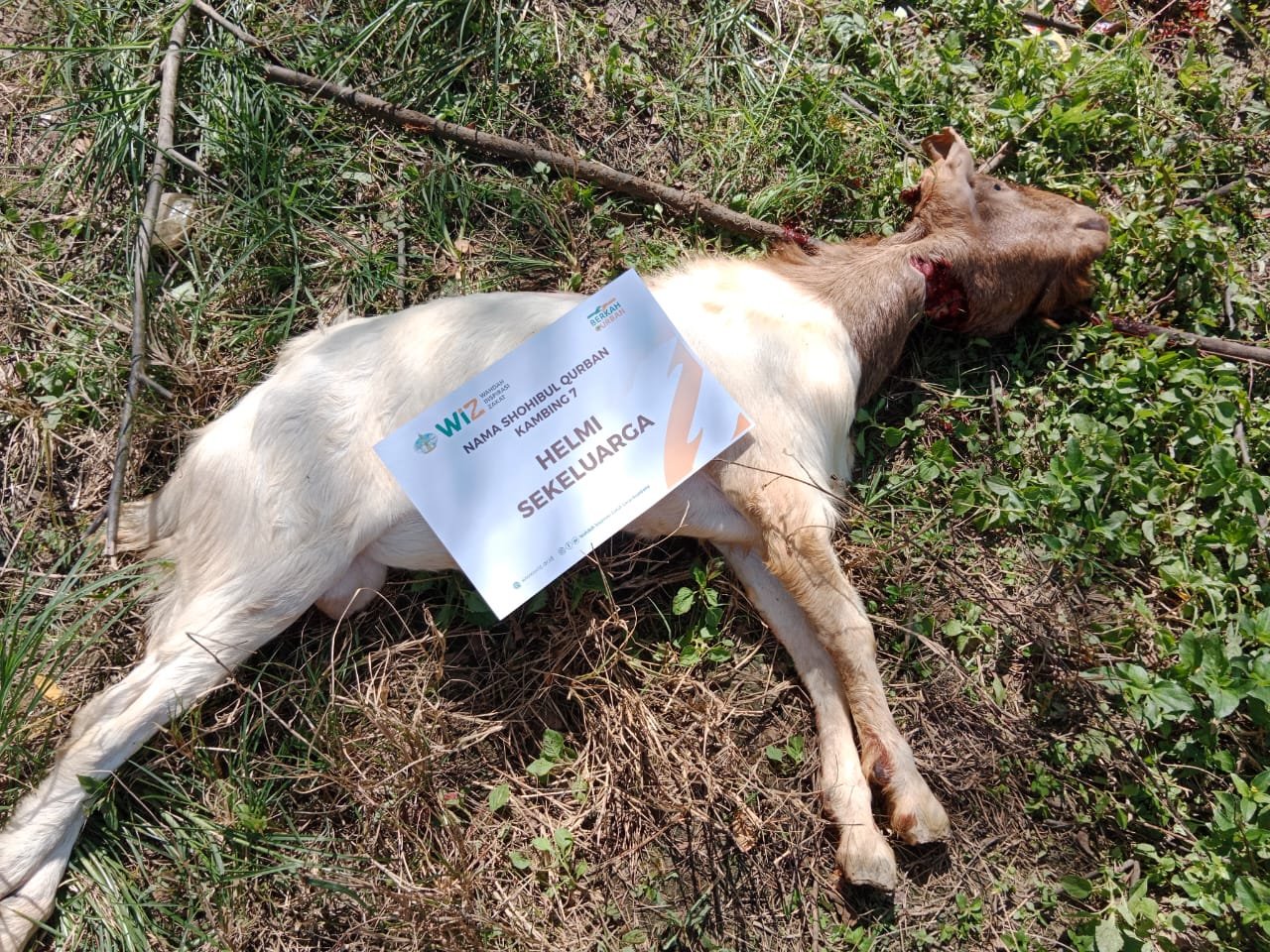 pelaksanaan-ibadah-qurban-22