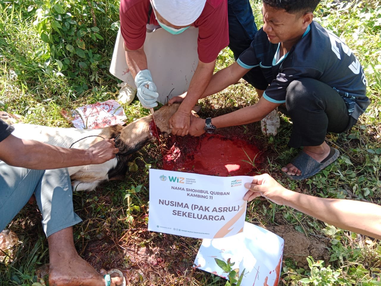 pelaksanaan-ibadah-qurban-23