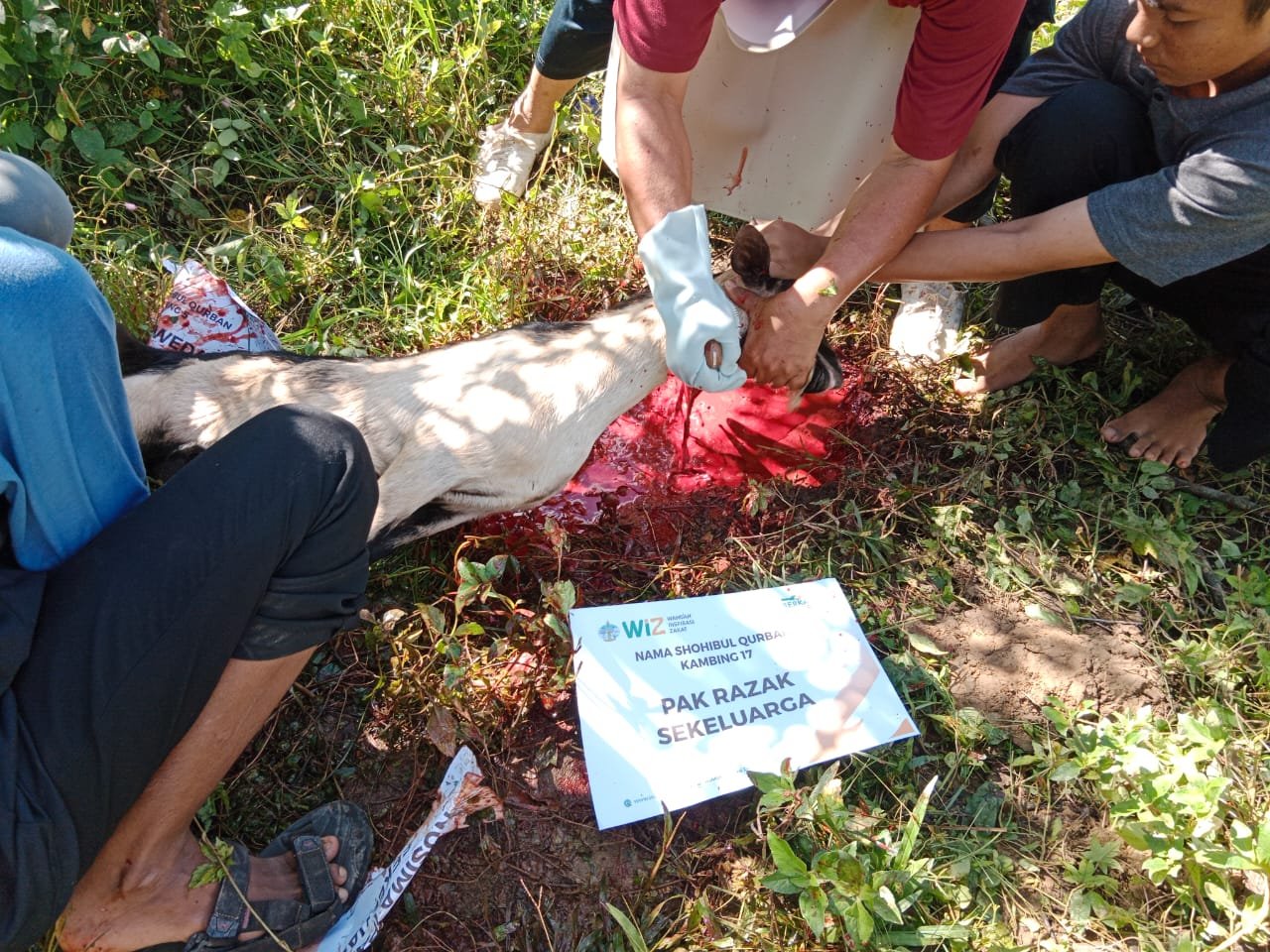 pelaksanaan-ibadah-qurban-24