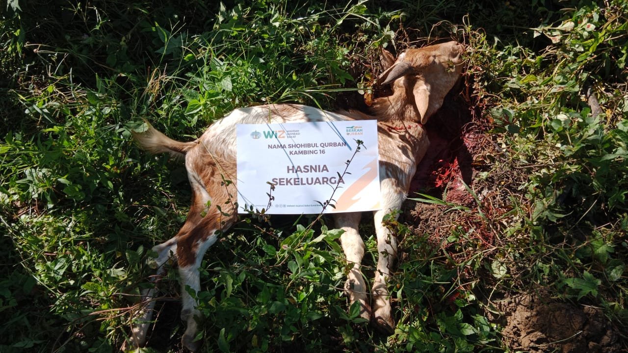 pelaksanaan-ibadah-qurban-26