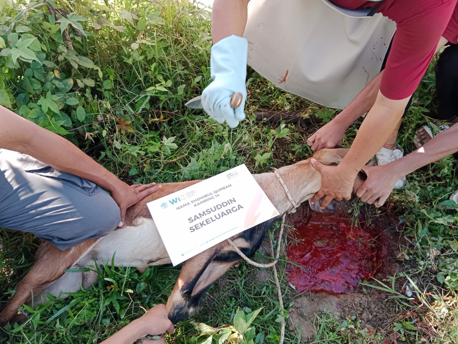 pelaksanaan-ibadah-qurban-27