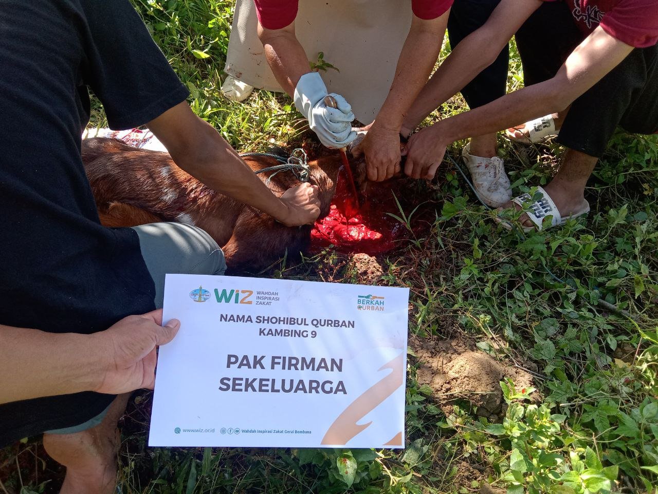 pelaksanaan-ibadah-qurban-3