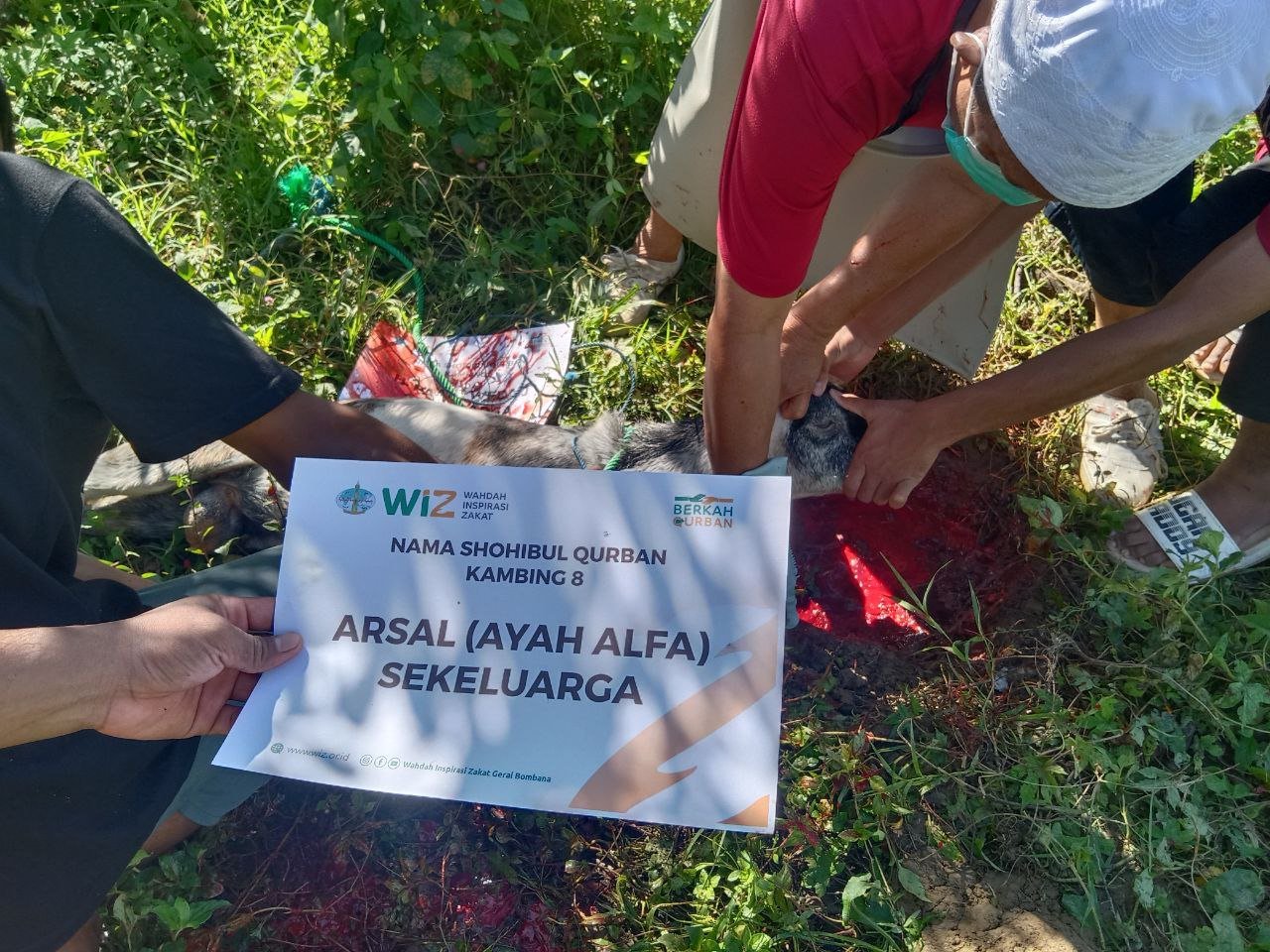 pelaksanaan-ibadah-qurban-4