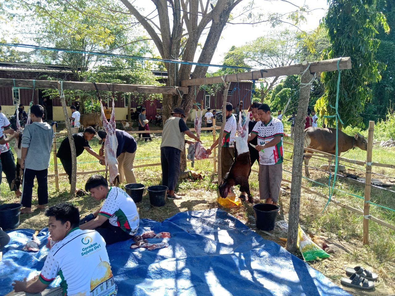 pelaksanaan-ibadah-qurban-5