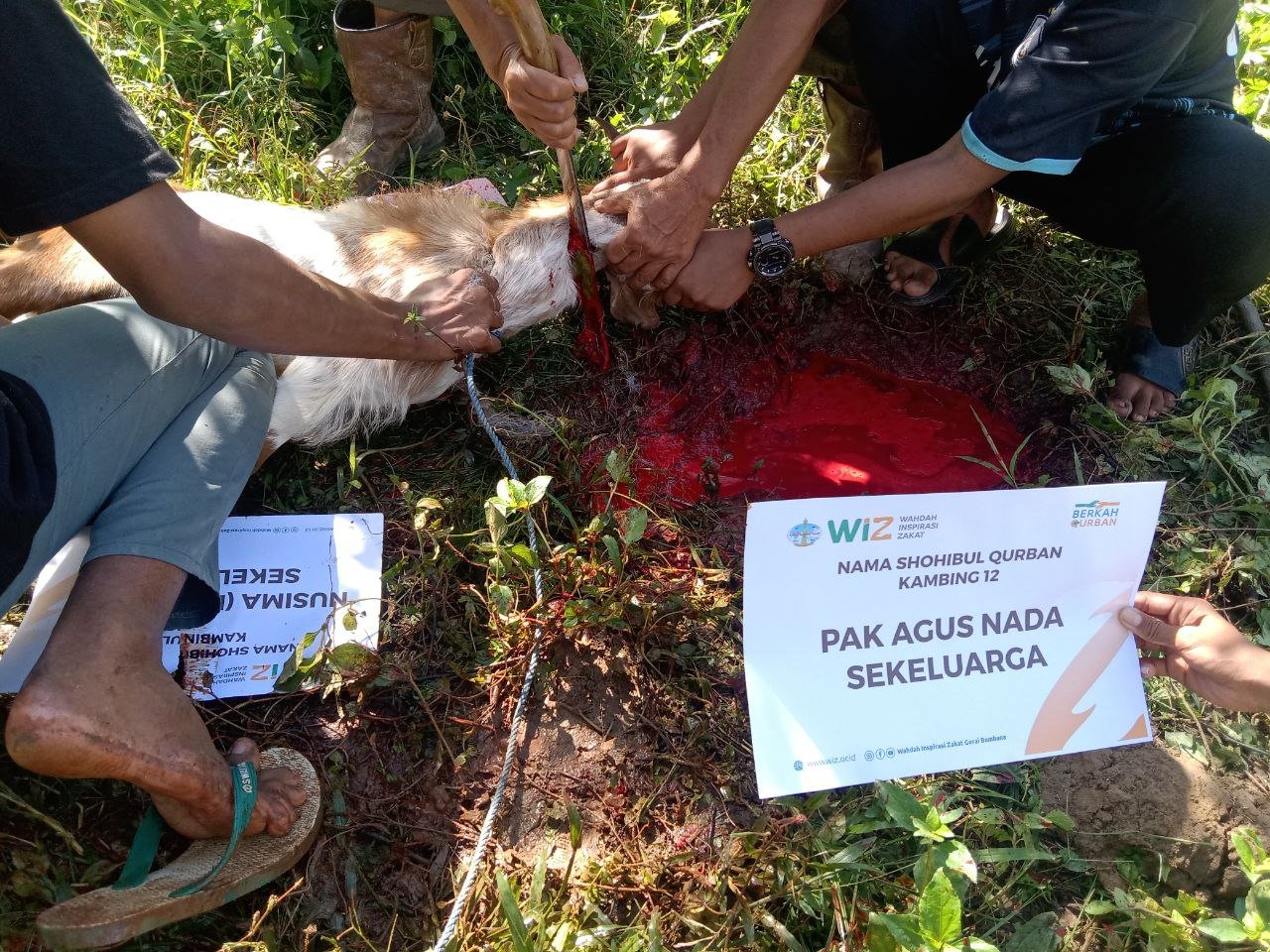 pelaksanaan-ibadah-qurban-6