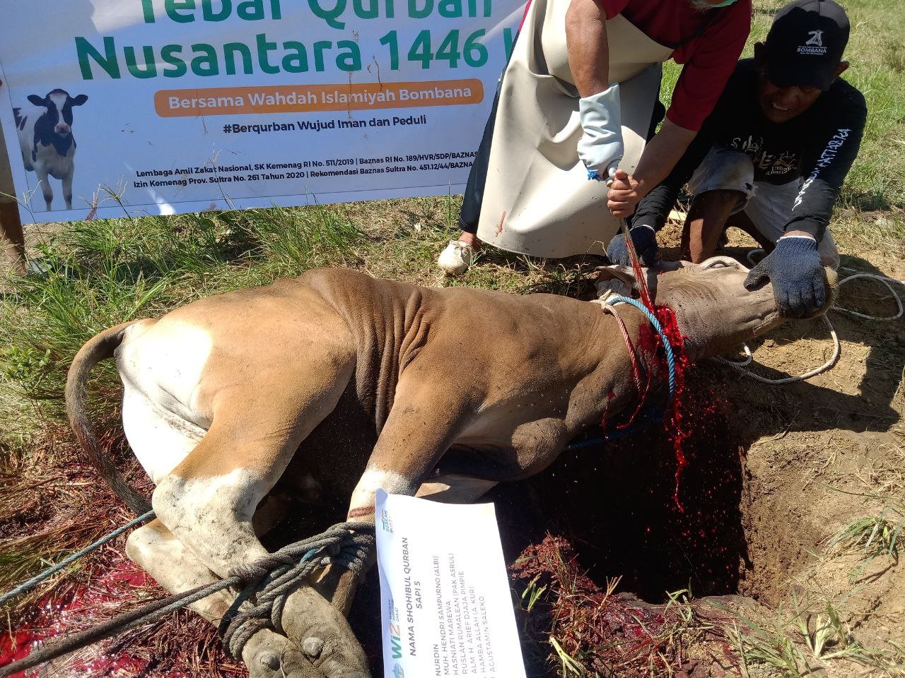 pelaksanaan-ibadah-qurban-8