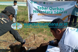 Dokumentasi dan Laporan Lengkap Tebar Qurban Nusantara Tahun 1446 Hijriyah Lingkup DPD WI Bombana
