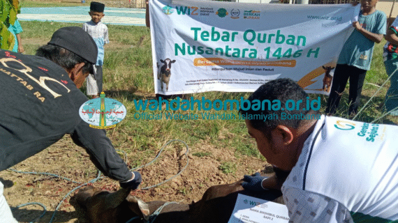 Dokumentasi dan Laporan Lengkap Tebar Qurban Nusantara Tahun 1446 Hijriyah Lingkup DPD WI Bombana